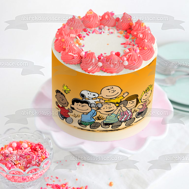 Peanuts Charlie Brown Snoopy Woodstock Linus Peppermint Patty Decoración comestible para tarta Imagen ABPID08952 