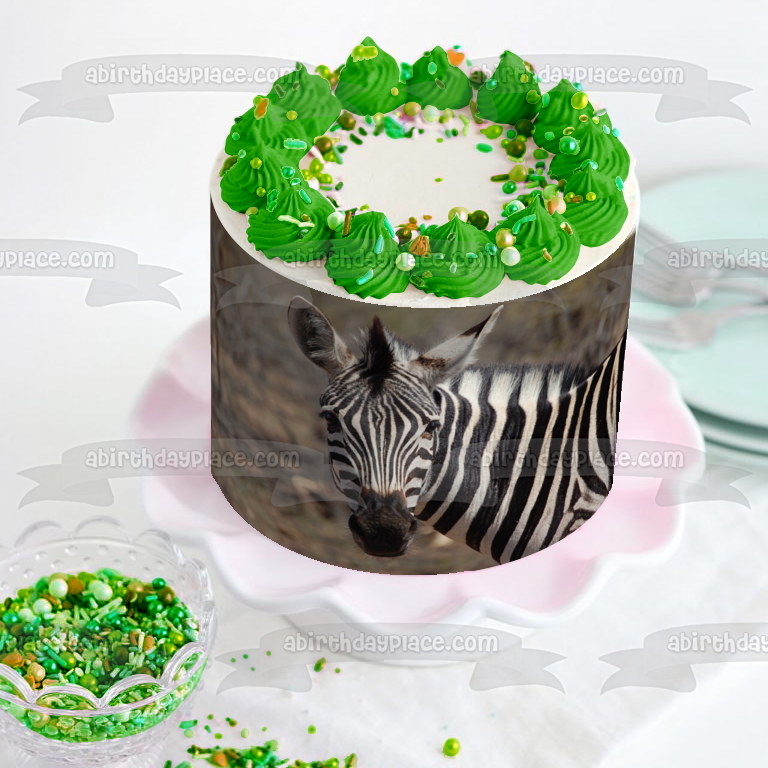 Imagen comestible para decoración de tarta con fondo de árboles y animales de cebra ABPID09556 