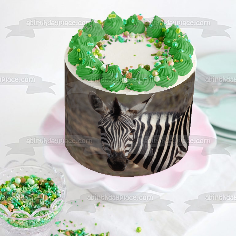 Imagen comestible para decoración de tarta con fondo de árboles y animales de cebra ABPID09556 