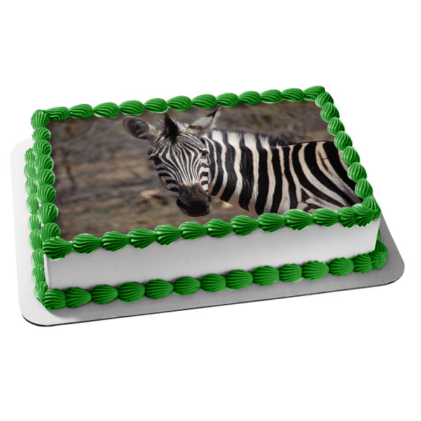 Imagen comestible para decoración de tarta con fondo de árboles y animales de cebra ABPID09556 