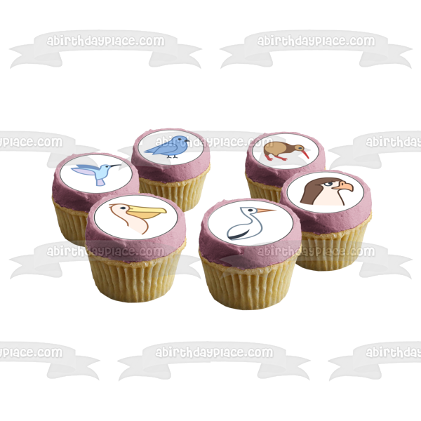 Assorted Birds Fowl Cartoon Parrot  Duck Hummingbird and More Edible Cupcake Topper Images ABPID55542