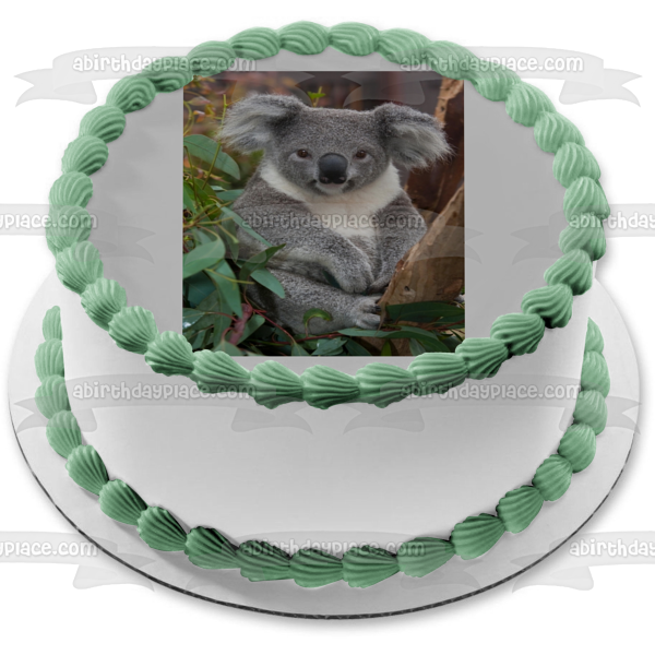 Imagen comestible para decoración de tarta con hojas de árboles de oso koala ABPID10082