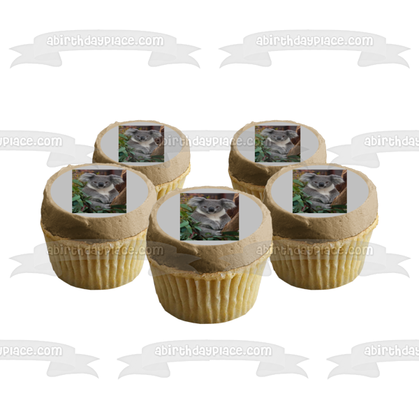 Imagen comestible para decoración de tarta con hojas de árboles de oso koala ABPID10082