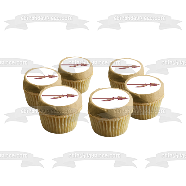 Florida State University FSU Edible Icing Sheet Cake Decor Topper - FS –  Bling Your Cake