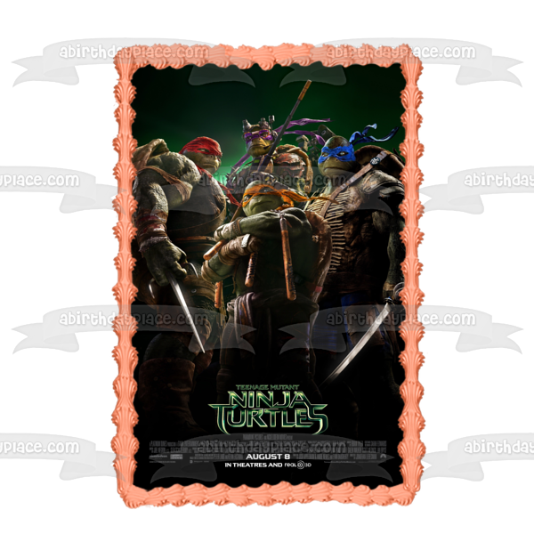 Teenage Mutant Ninja Turtles Donatello Michaelangelo Leonardo and Raph – A  Birthday Place