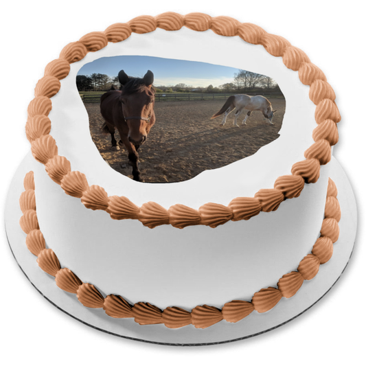 Horses Brown White Fence Trees Edible Cake Topper Image ABPID11201