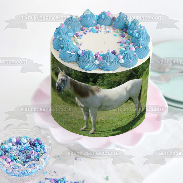 Animals Horses White Horse Trees Edible Cake Topper Image ABPID22135