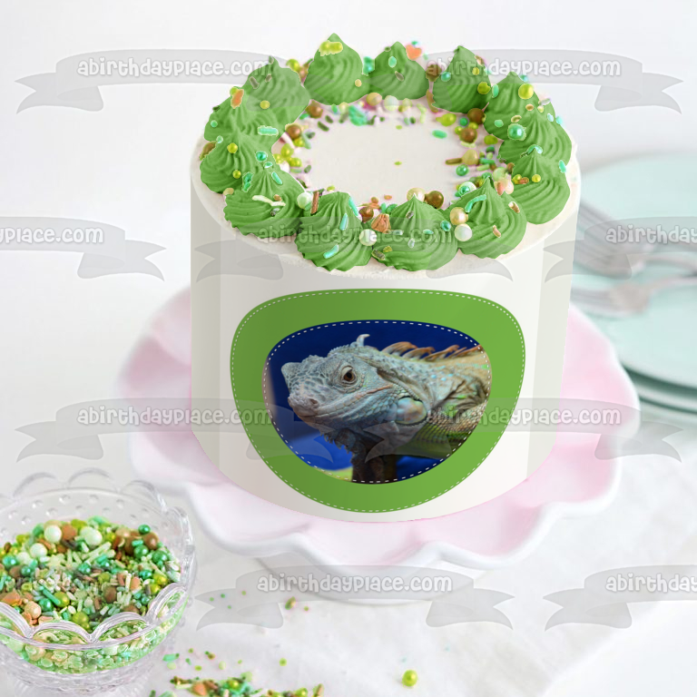 Iguana Herbivorous Lizard Green Edge Edible Cake Topper Image ABPID22307