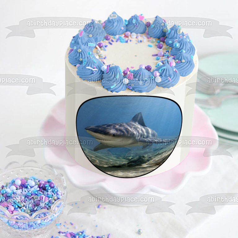 Ocean Life Shark Underwater Rocks Edible Cake Topper Image ABPID27737