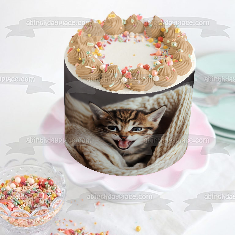 Imagen de adorno comestible para pastel de gato con manta tejida ABPID50259 