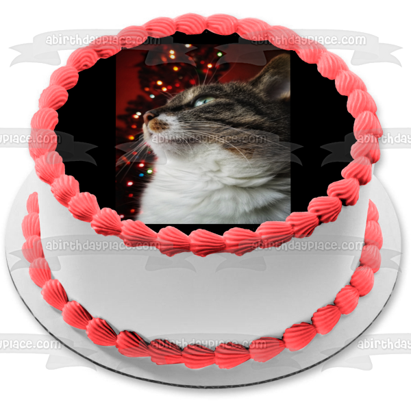 Imagen comestible para decoración de tarta con diseño de gato navideño majestuoso ABPID50464 