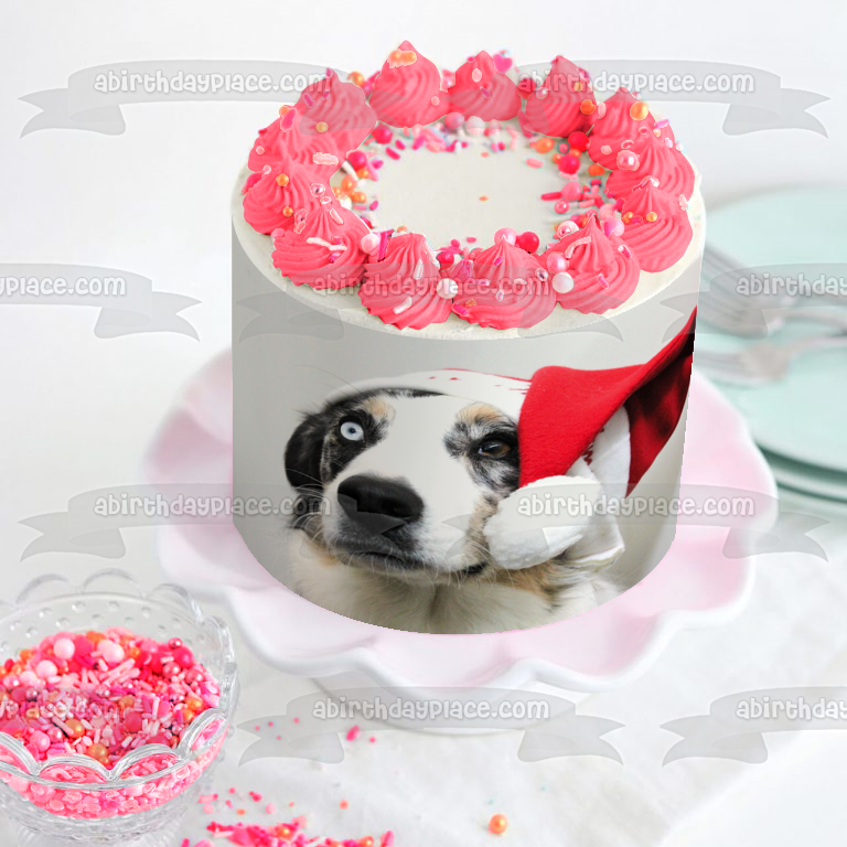 Holiday Hat Australian Shepherd Dog Edible Cake Topper Image ABPID50470