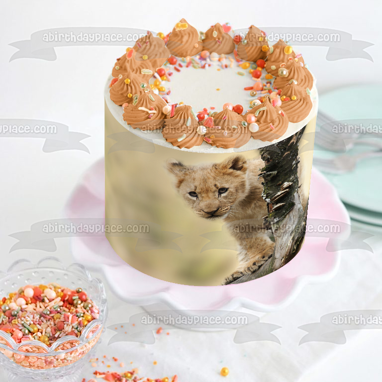 Curious Lion Cub Edible Cake Topper Image ABPID50477