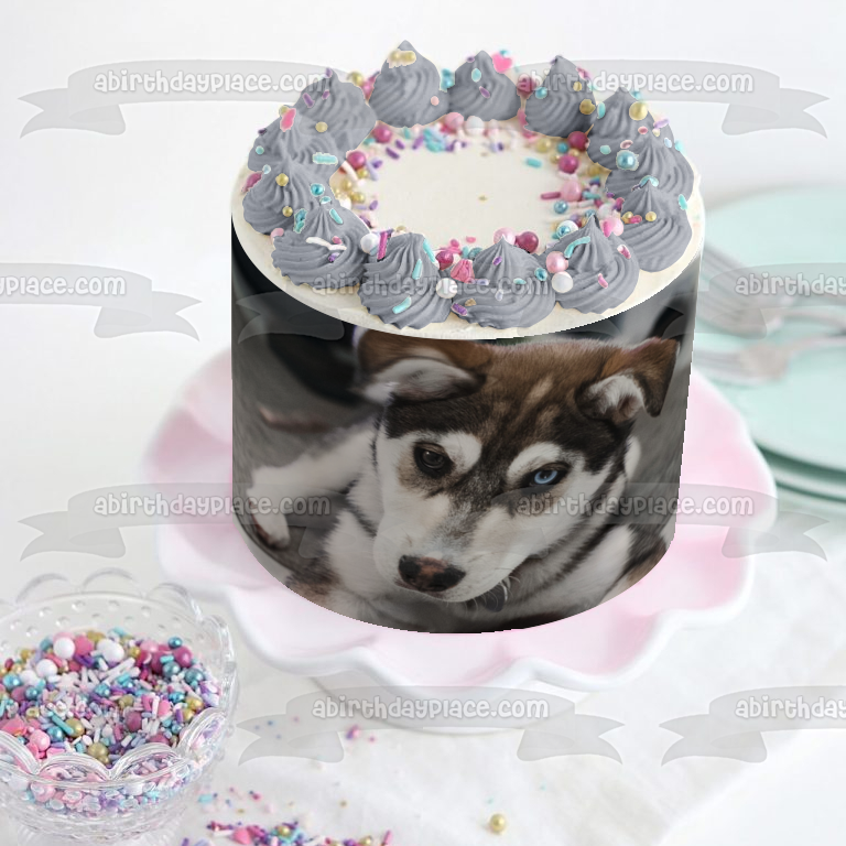 Imagen comestible para decoración de tarta de cachorro Husky ABPID51008 