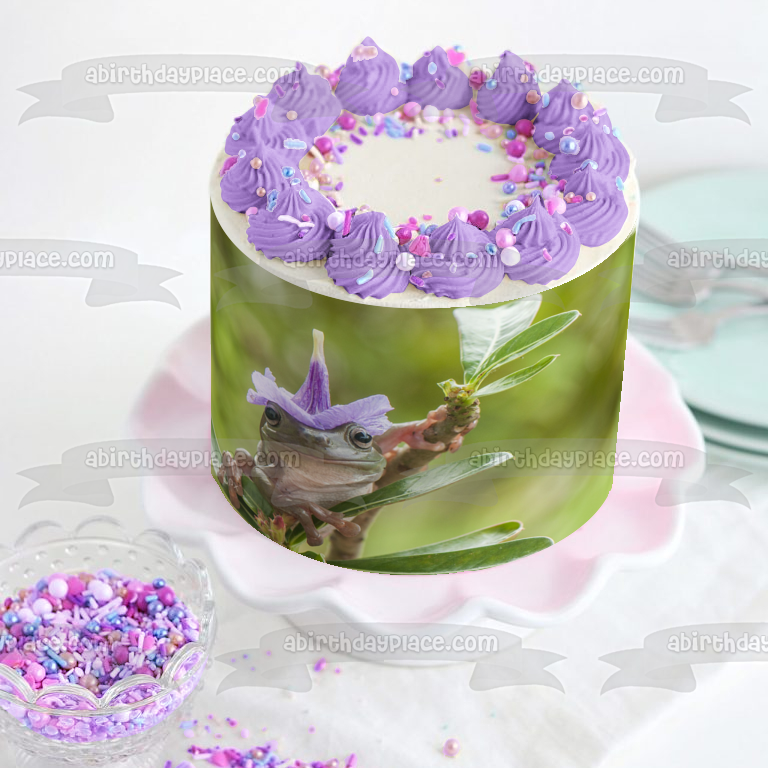 Frog Wearing a Flower Hat Edible Cake Topper Image ABPID52042