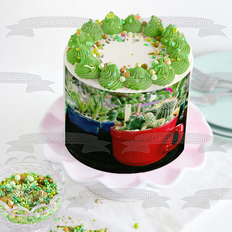 Plantas de cactus variadas en tazas Imagen comestible para decoración de pasteles ABPID52525 