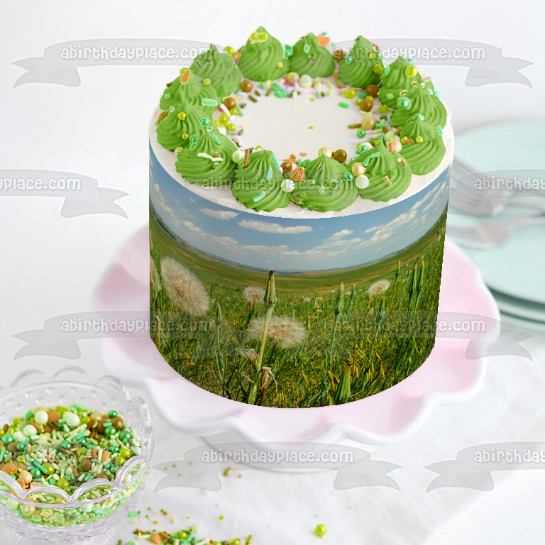 Order Dandelion Cake Online in Noida, Delhi NCR | Kingdom of Cakes