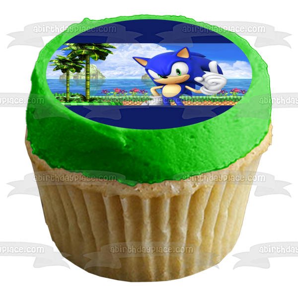 Sonic the Hedgehog Sega Island Videojuego Edible Cake Topper Imagen ABPID52903 