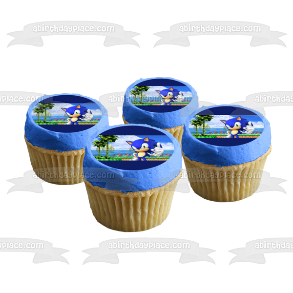 Sonic the Hedgehog Sega Island Videojuego Edible Cake Topper Imagen ABPID52903 