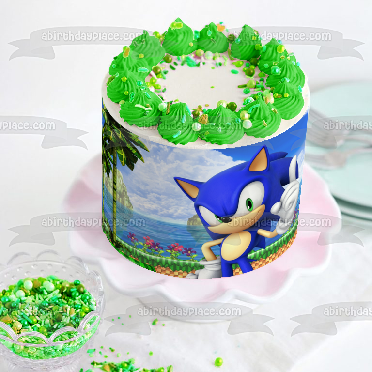 Sonic the Hedgehog Sega Island Videojuego Edible Cake Topper Imagen ABPID52903 