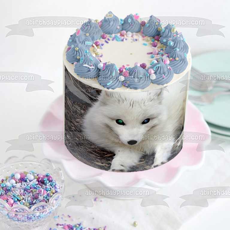 Artic Fox White Fox Wildlife Edible Cake Topper Image ABPID52921