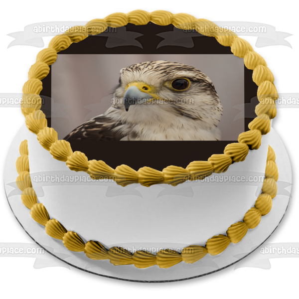 Imagen comestible para decoración de tarta con águila silvestre ABPID52938 