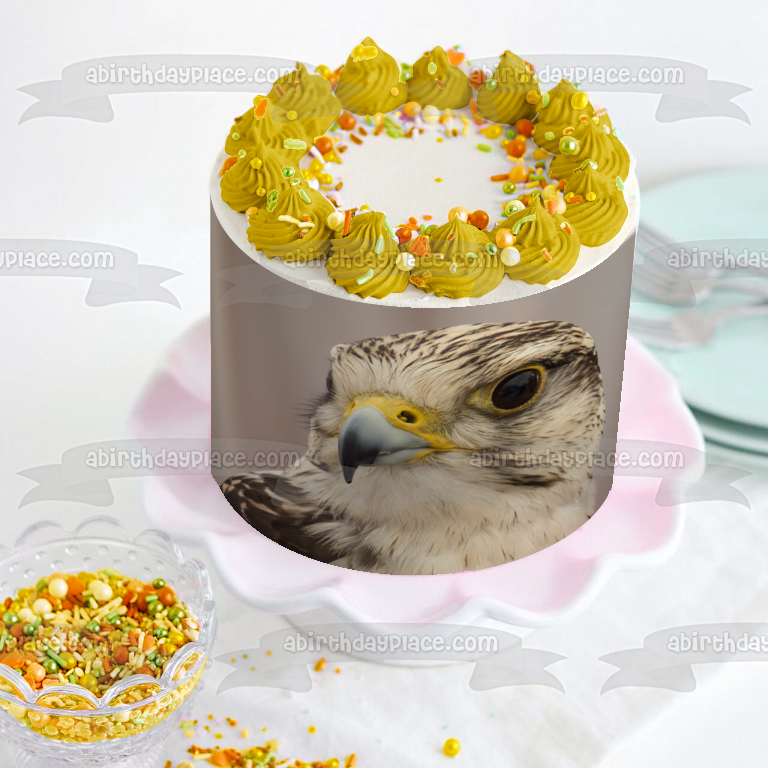 Imagen comestible para decoración de tarta con águila silvestre ABPID52938 