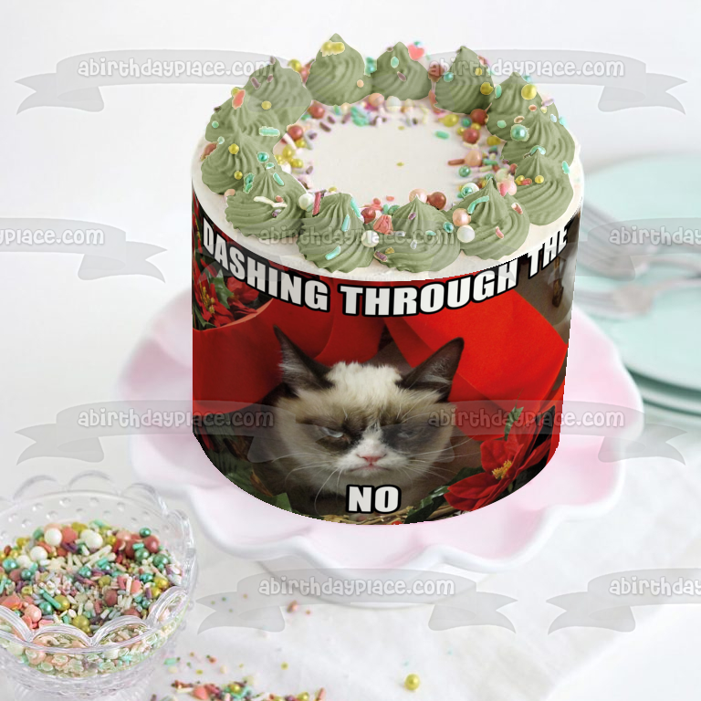 Angry Cat Christmas Meme "Dashing Through the No" Edible Cake Topper Image ABPID53102