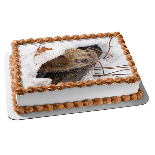 Imagen de decoración comestible para tarta feliz día de la marmota ABPID57007 