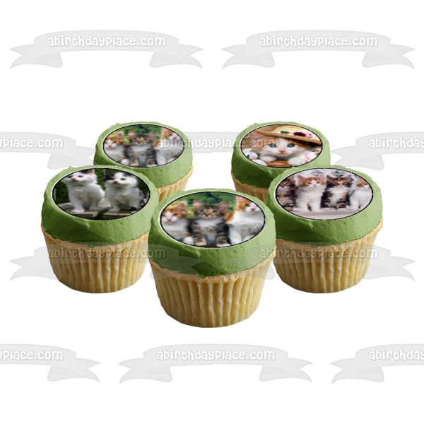 Kittens Tiger White and Orange Hats Edible Cupcake Topper Images ABPID03233