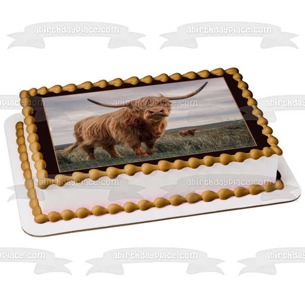 Cake Topper Highland Cow Baby shower rose
