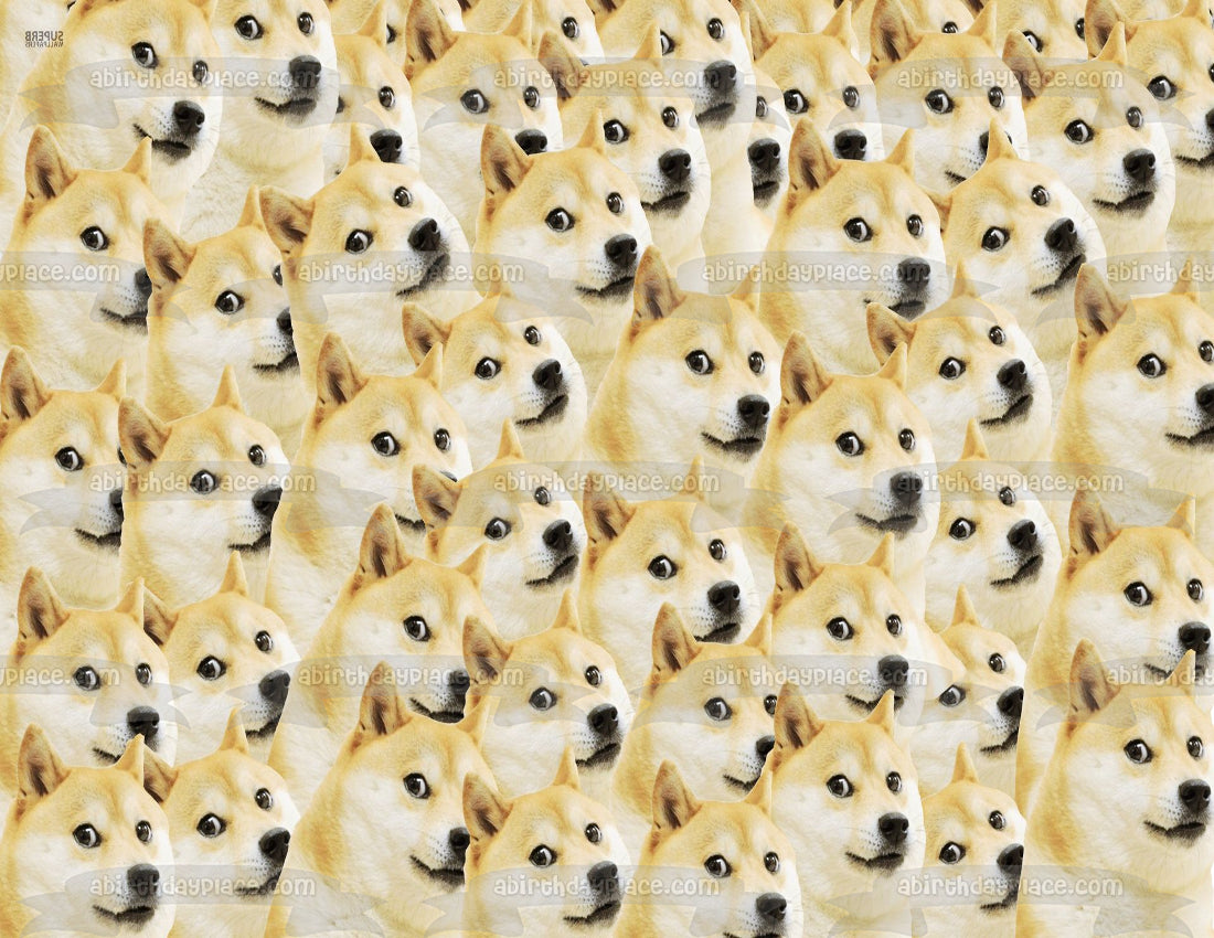 Shiba Inu perro Doge Meme cara patrón comestible decoración para tarta imagen ABPID00553 