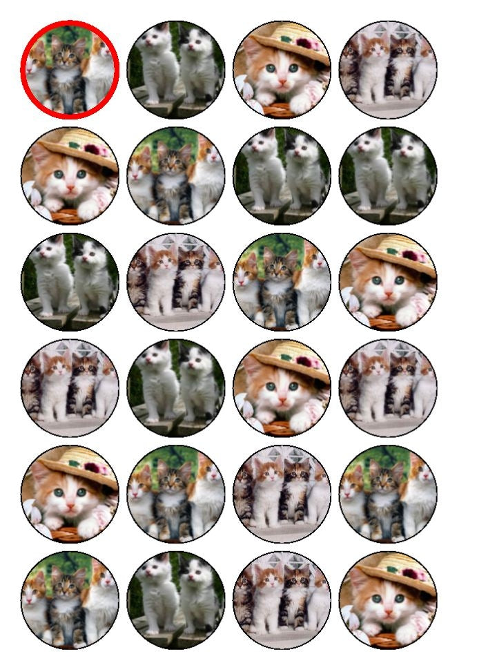 Kittens Tiger White and Orange Hats Edible Cupcake Topper Images ABPID03233