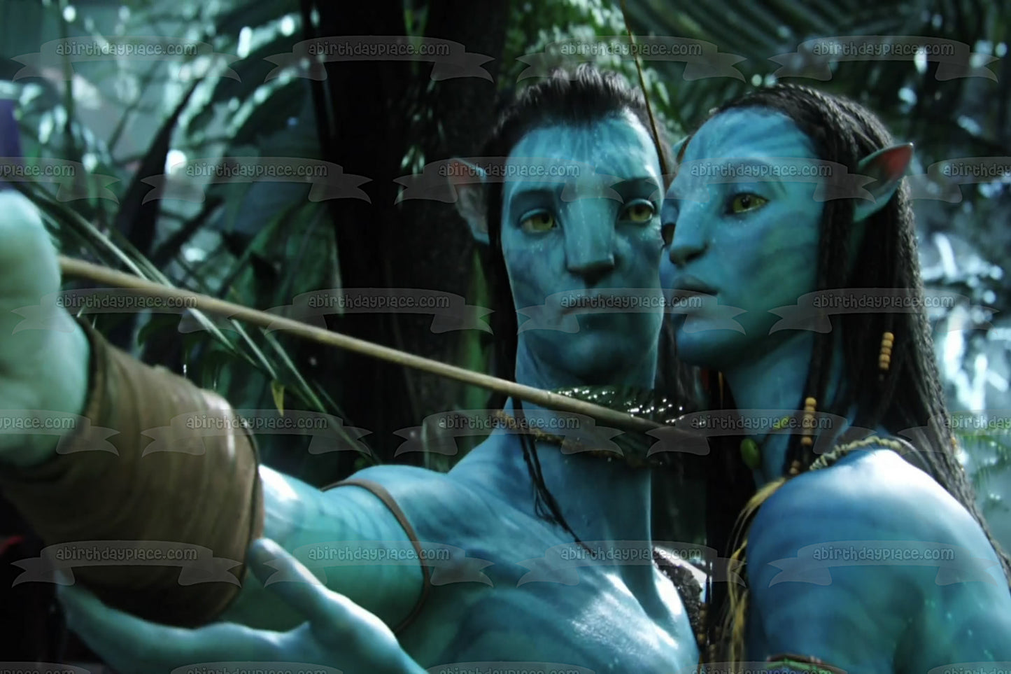 Avatar Movie Jake Sully and Neytiri Bow and Arrow Edible Cake Topper Image ABPID04500