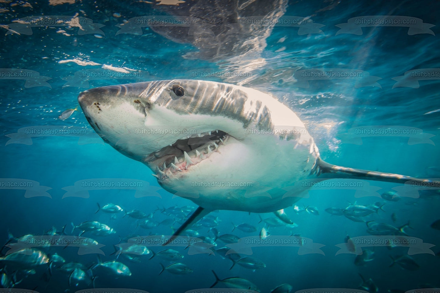 Gran tiburón blanco océano boca abierta dientes afilados decoración comestible para tarta imagen ABPID04665 