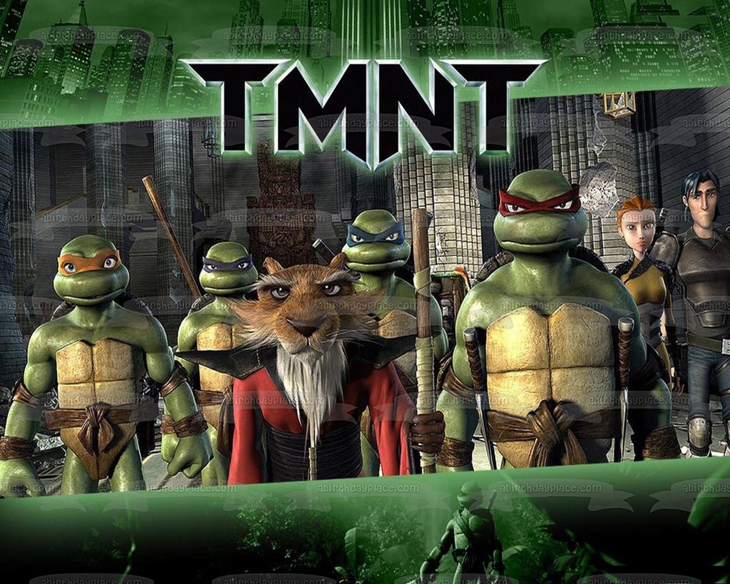 TEENAGE MUTANT NINJA TURTLES TMNT Birthday Personalized