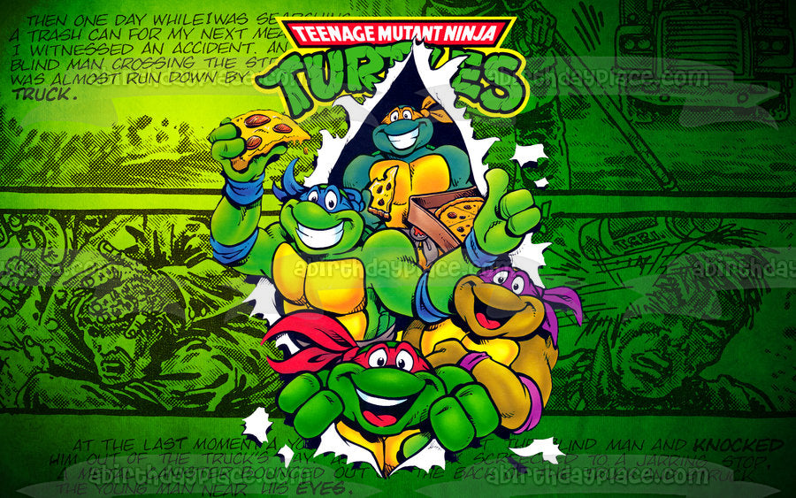 Teenage Mutant Ninja Turtles Donatello Michaelangelo Leonardo Raphael and  Pizza Edible Cake Topper Image ABPID05224