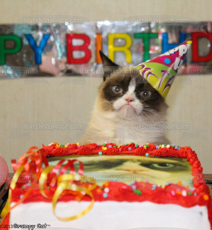 Feliz cumpleaños, gato gruñón y un cartel, adorno comestible para tarta, imagen ABPID05461 