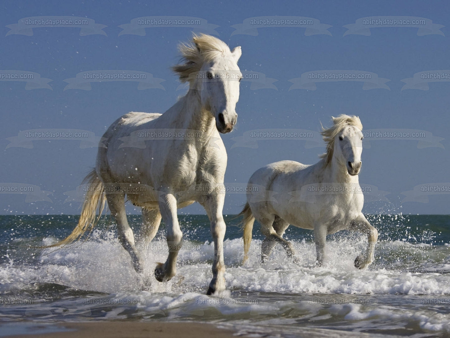 Imagen de decoración comestible para tarta de caballos blancos corriendo en agua ABPID05551 