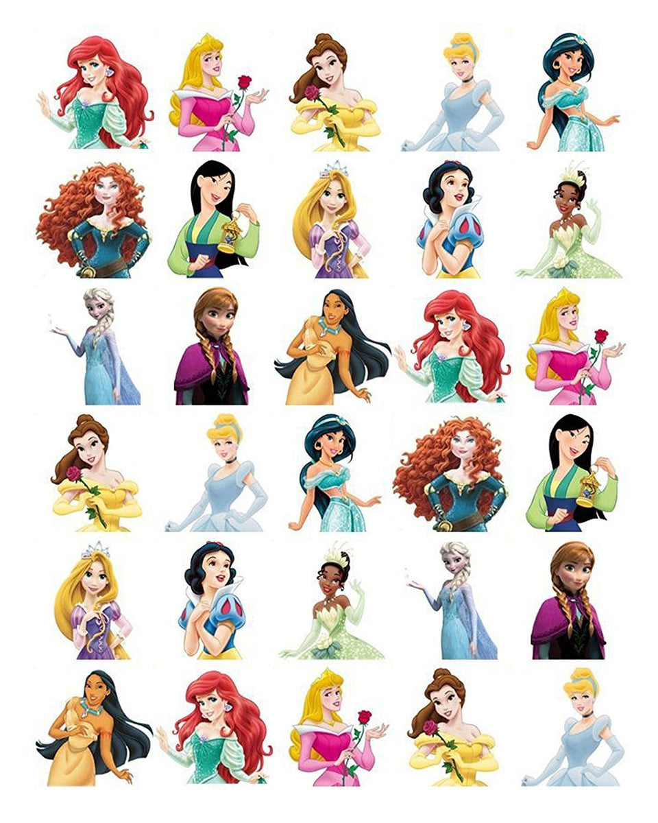 Ariel Aurora Belle Snow White Jasmine Cinderella Mulan Merida Anna Els ...