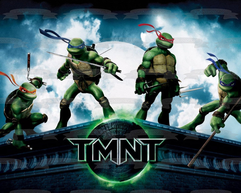 Teenage Mutant Ninja Turtles Donatello Michaelangelo Leonardo and Raph – A  Birthday Place