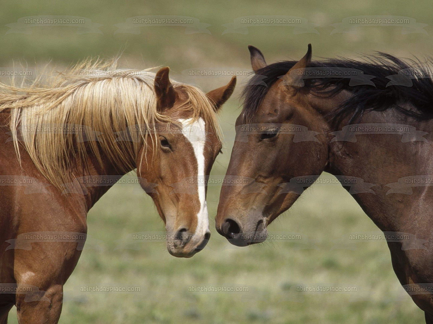 Imagen de decoración comestible para tarta con animales marrones de caballos ABPID07492 