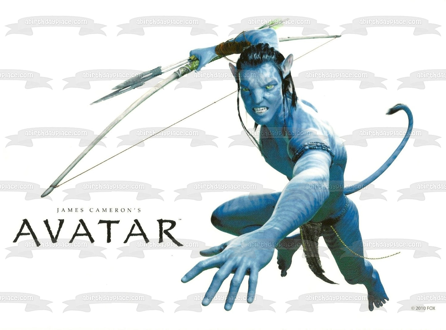 Avatar Jake Sully Bow and Arrow Edible Cake Topper Image ABPID08284