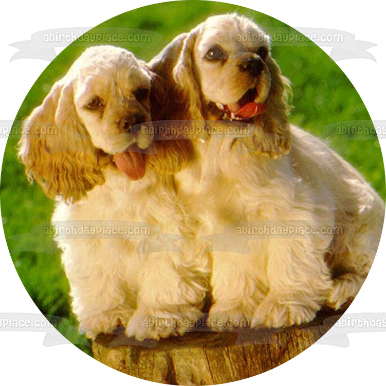 Imagen de decoración comestible para tarta de cachorros Cocker Spaniels ABPID11866 