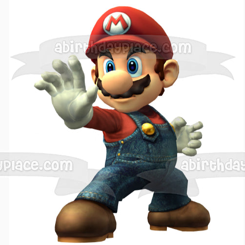 Super Mario Brothers Edible Cake Topper Image ABPID13640