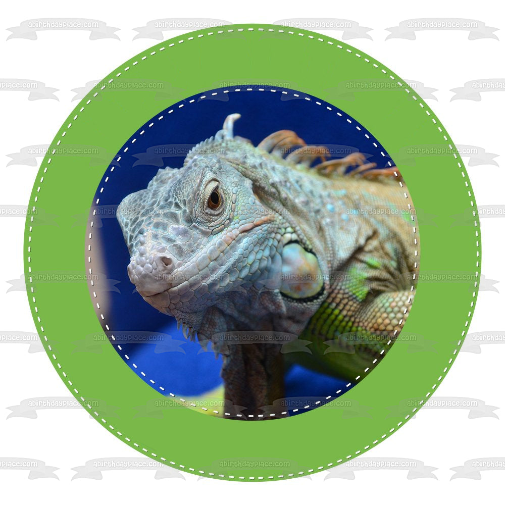 Iguana Herbivorous Lizard Green Edge Edible Cake Topper Image ABPID22307