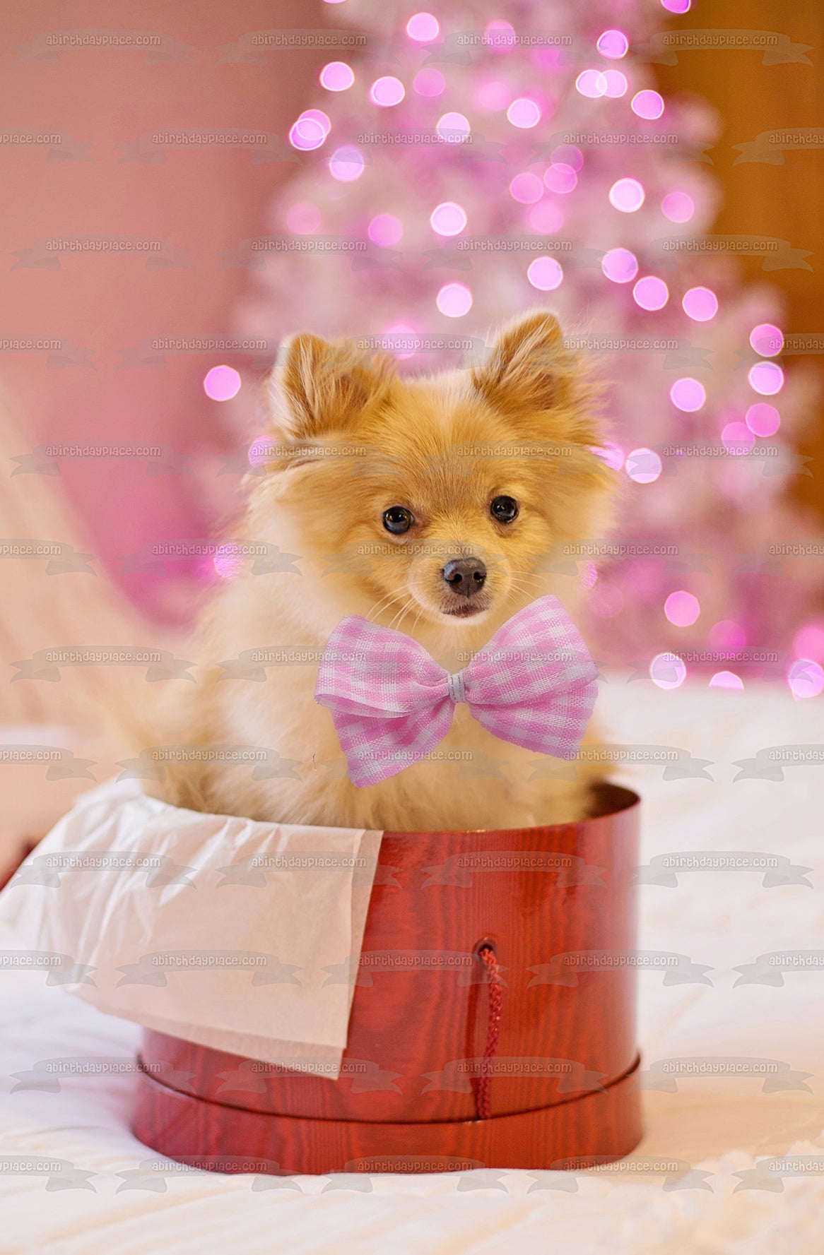 Imagen de adorno comestible para pastel de perro Pomerania navideño ABPID50456 