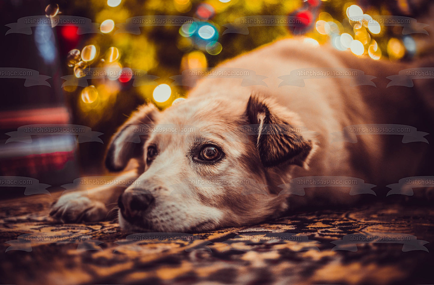 Perro esperando a Santa Imagen comestible para decoración de tarta ABPID50465 