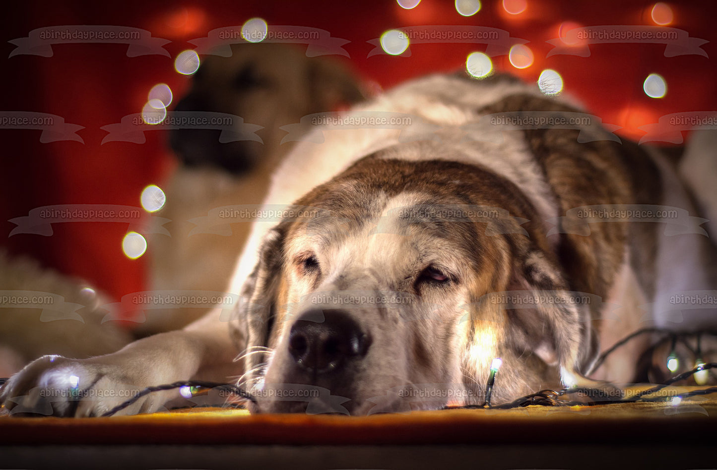 Imagen comestible para tarta con diseño de perro con luces navideñas soñolientas ABPID50469 