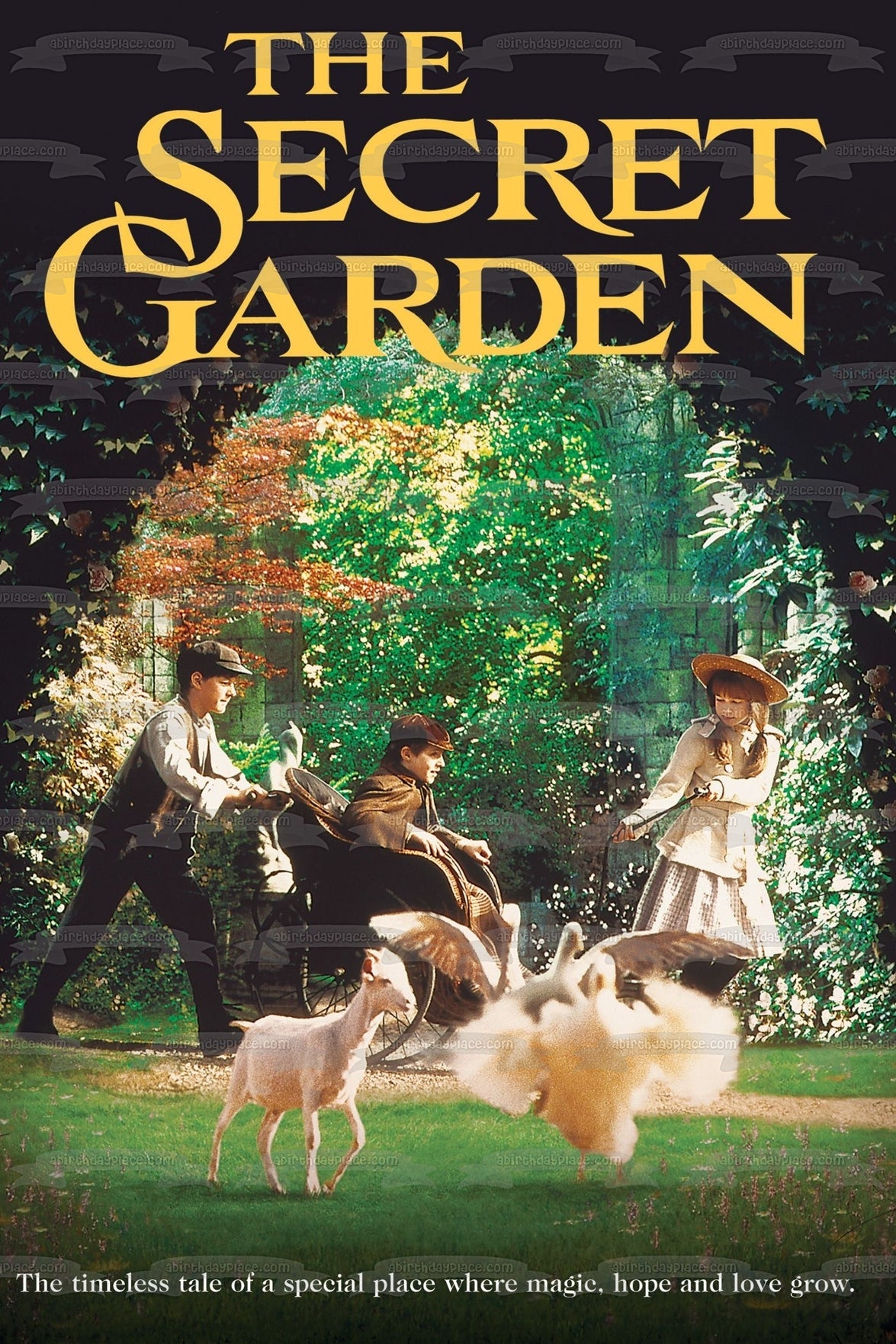 The Secret Garden Movie Poster Mary Lennox Colin Craven Edible Cake Topper Image ABPID51177